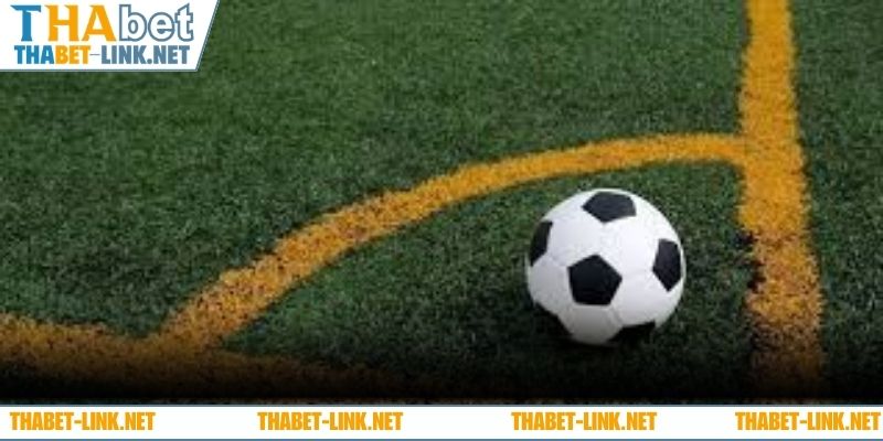 3 trường hợp đặt cược kèo chấp score box cơ bản